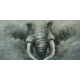 Elefant-pictura in ulei