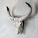 Decoratiune cu coarne de bou