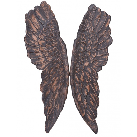 Set aripi din rasini