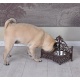 Bol Shabby chic pentru caini