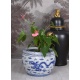 Jardiniera ceramica alb/albastra