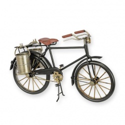 Model bicicleta neagra